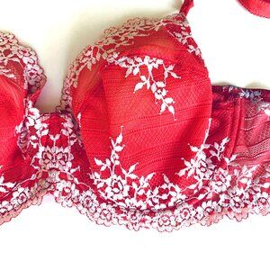 WACOAL 38DD Underwire Luscious Lace Embroidered Bra